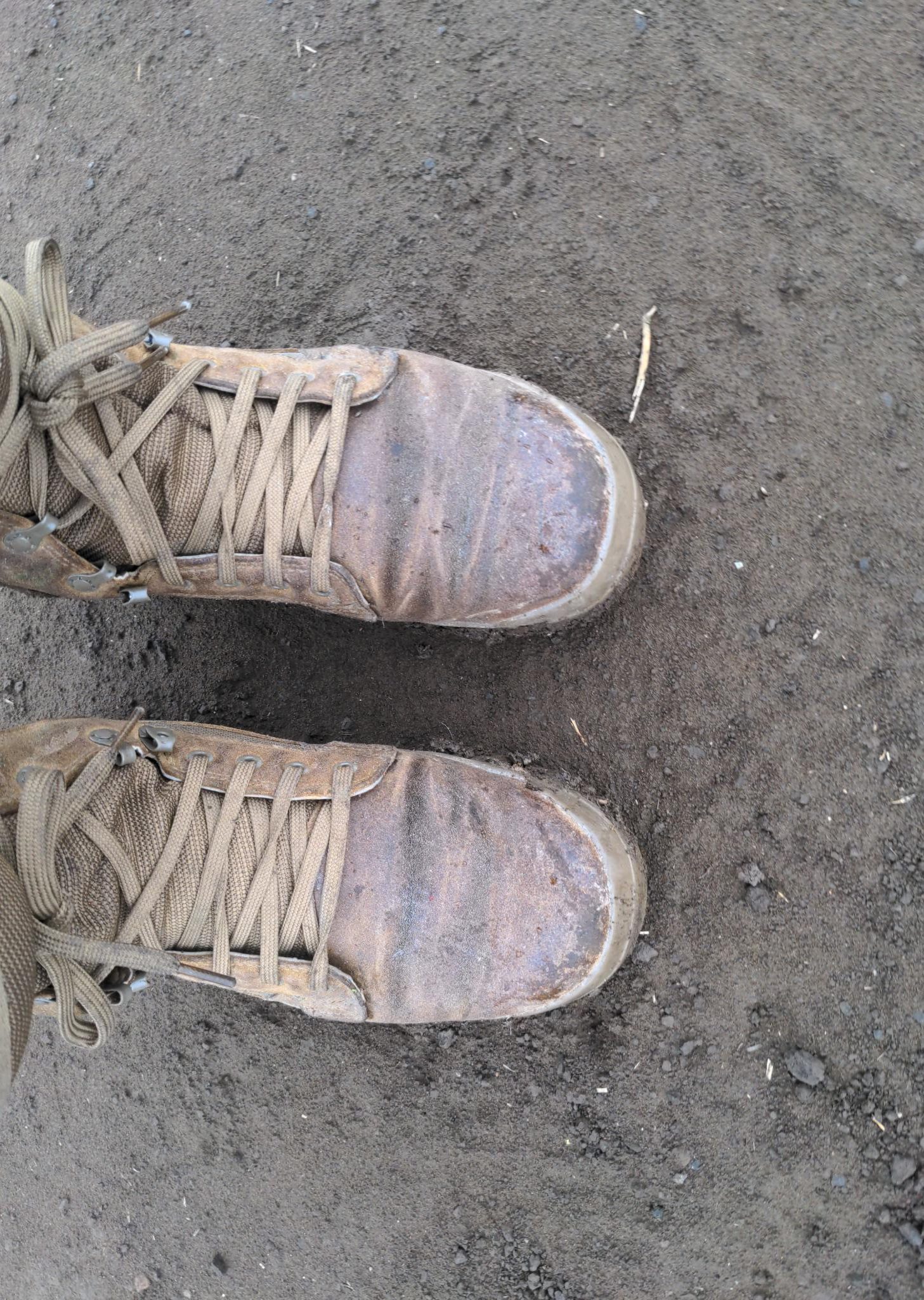 Old boots in the mud.